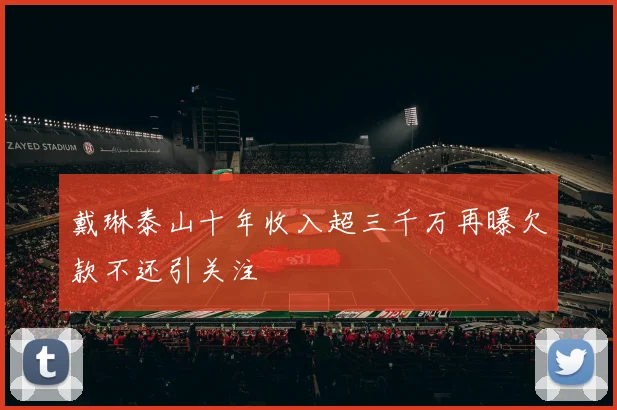 戴琳泰山十年收入超三千万再曝欠款不还引关注