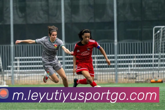 乐鱼体育品牌故事